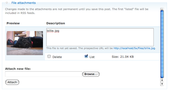 upload_preview.png