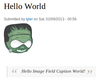 Screenshot of Image Field Caption for Drupal in Action