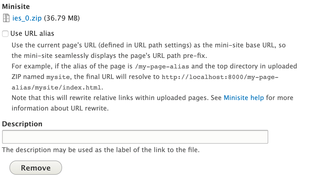 Screenshot of Minisite field settings after upload