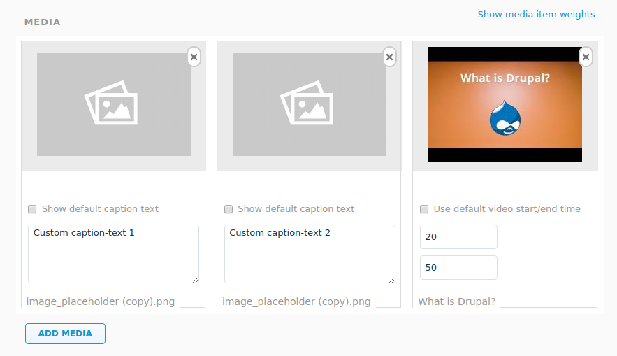 entity_refrerence_media with video