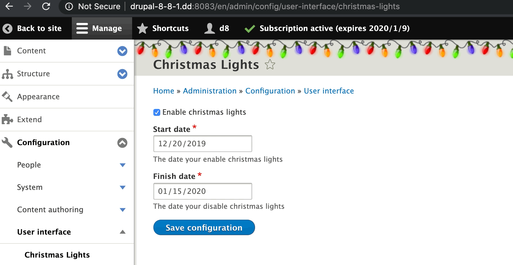 Christmas Lights demo