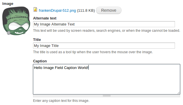 Screenshot of Image Field Caption for Drupal