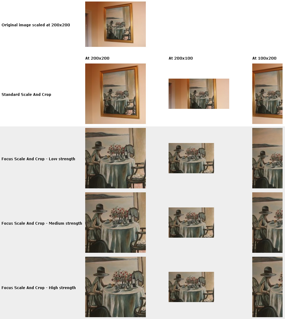 Focus Scale and Crop ImageCache action compared to standard Scale And Crop