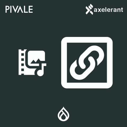 Media Entity Link graphic featuring a multimedia icon and a large link icon.