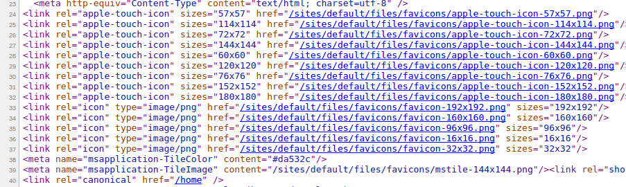 HTML metatags being output