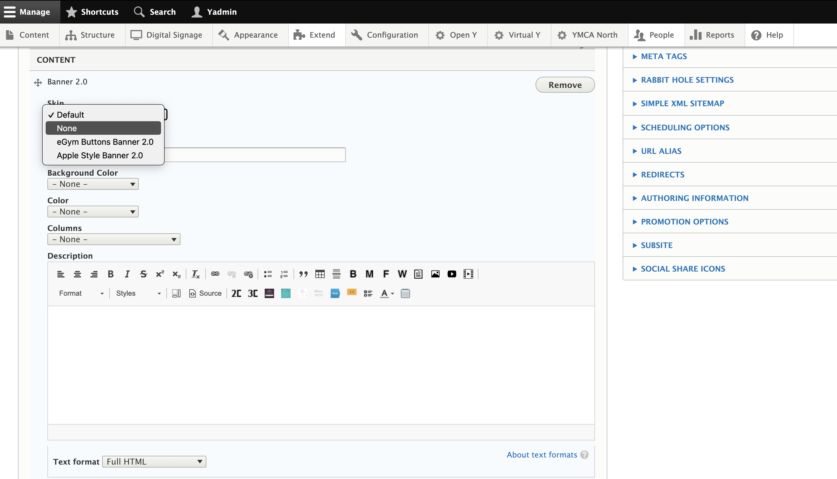 Example of Paragraph Skins dropdown