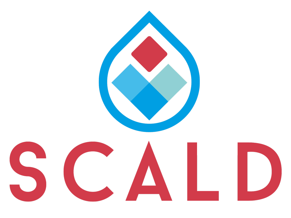 Logo Scald