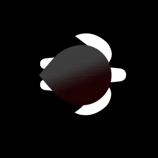 Turtlereality Web Design