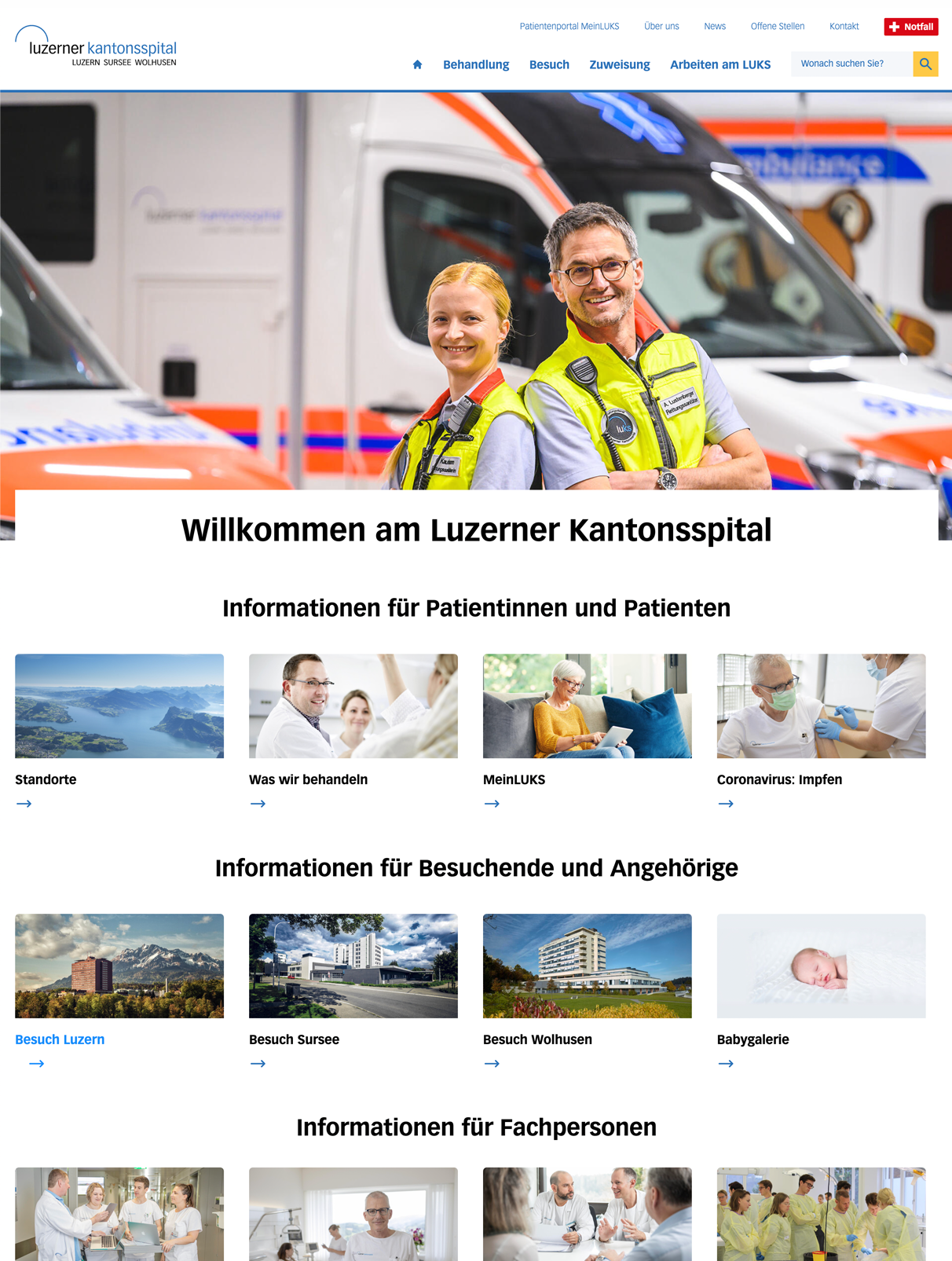 Screenshot of www.luks.ch homepage