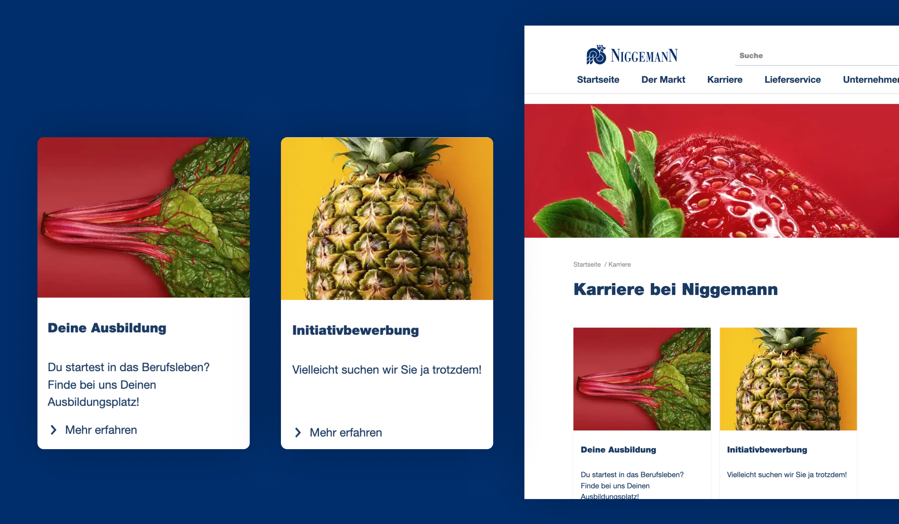 Screen and mobile view of the Niggemann webshop 
