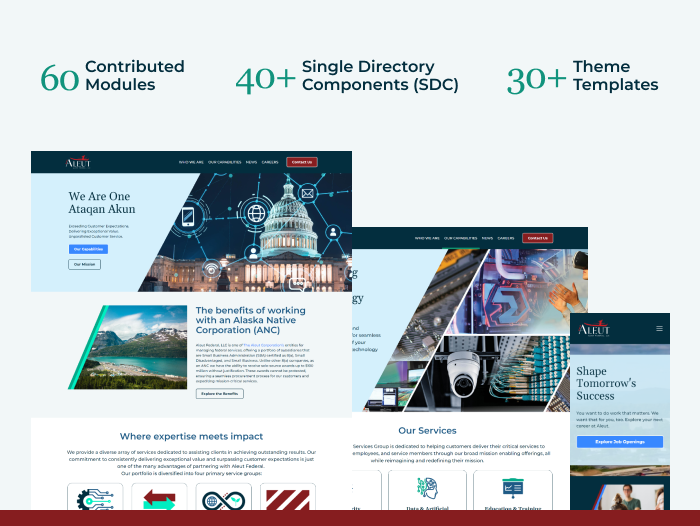 Modules, SDCs and Theme Templates used