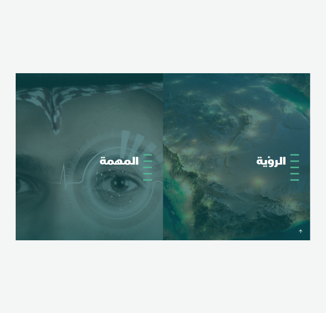 GAMI Website