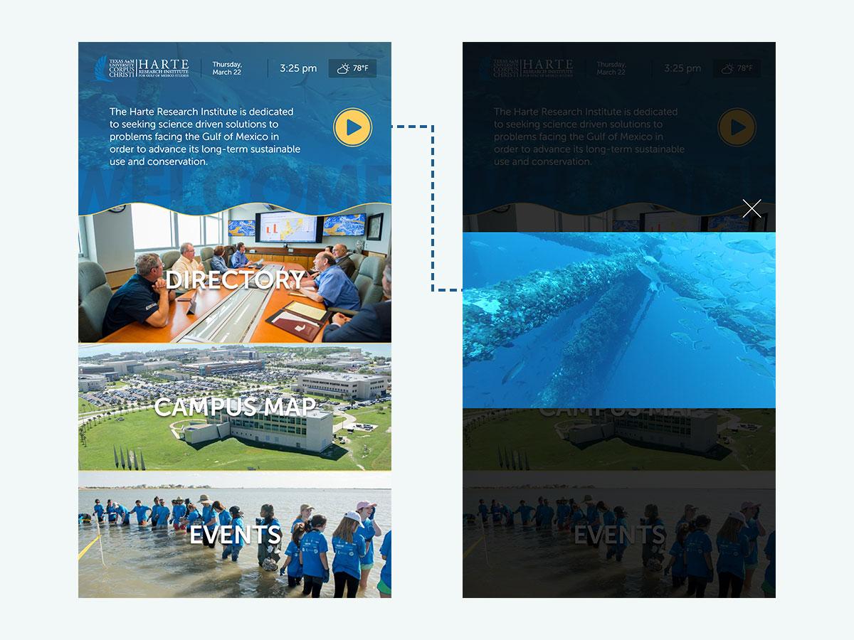 homepage video
