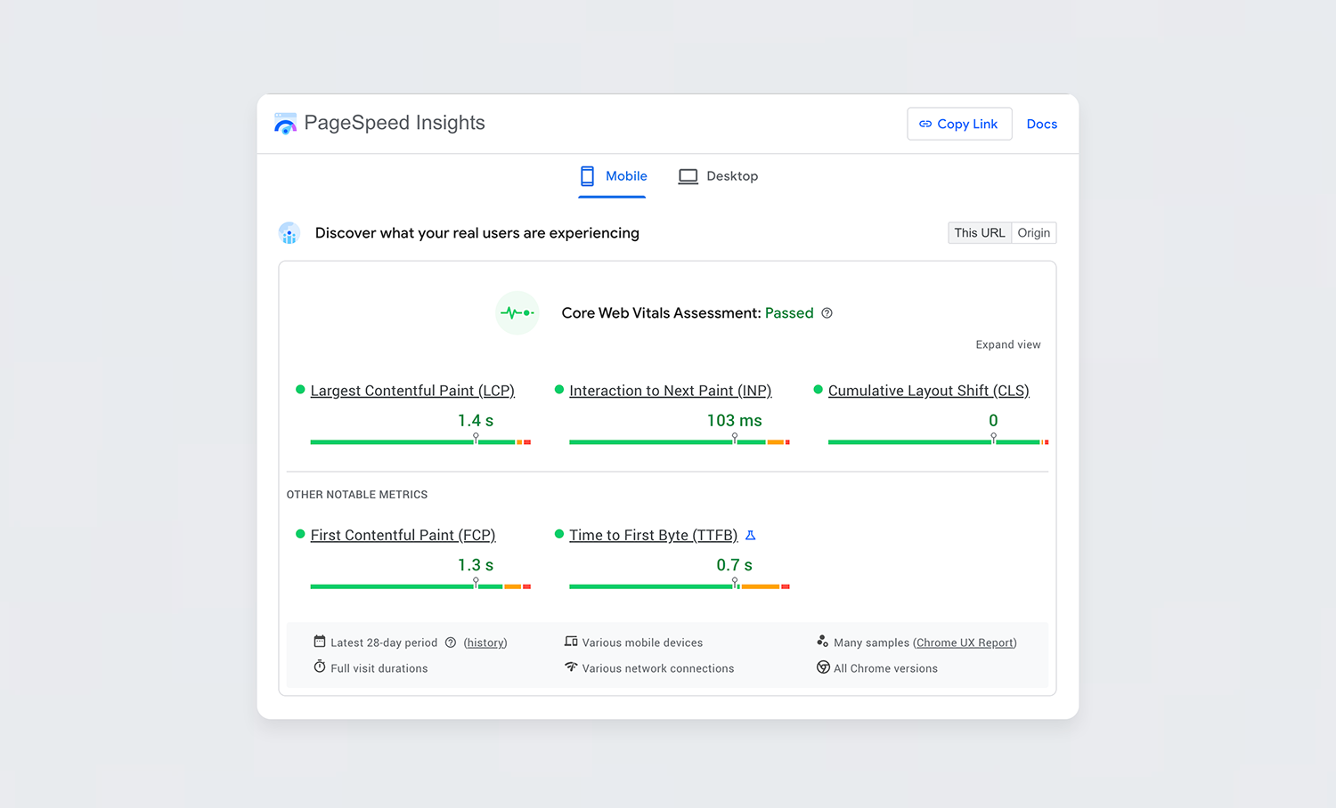 PageSpeed Insights