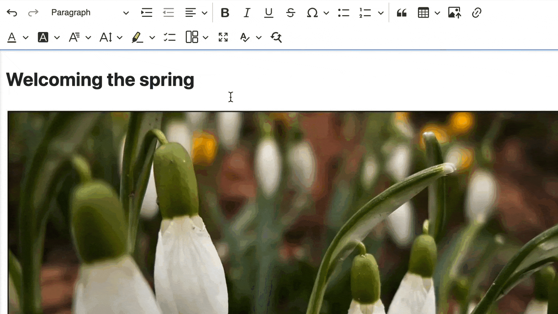 Full Screen Mode plugin for CKEditor 5 in Drupal