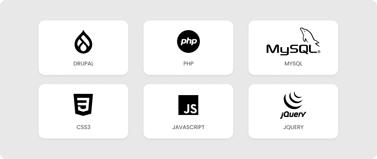 Medical company website development