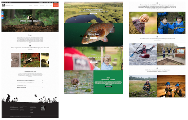 Pages assembled from Drupal Paragraphs